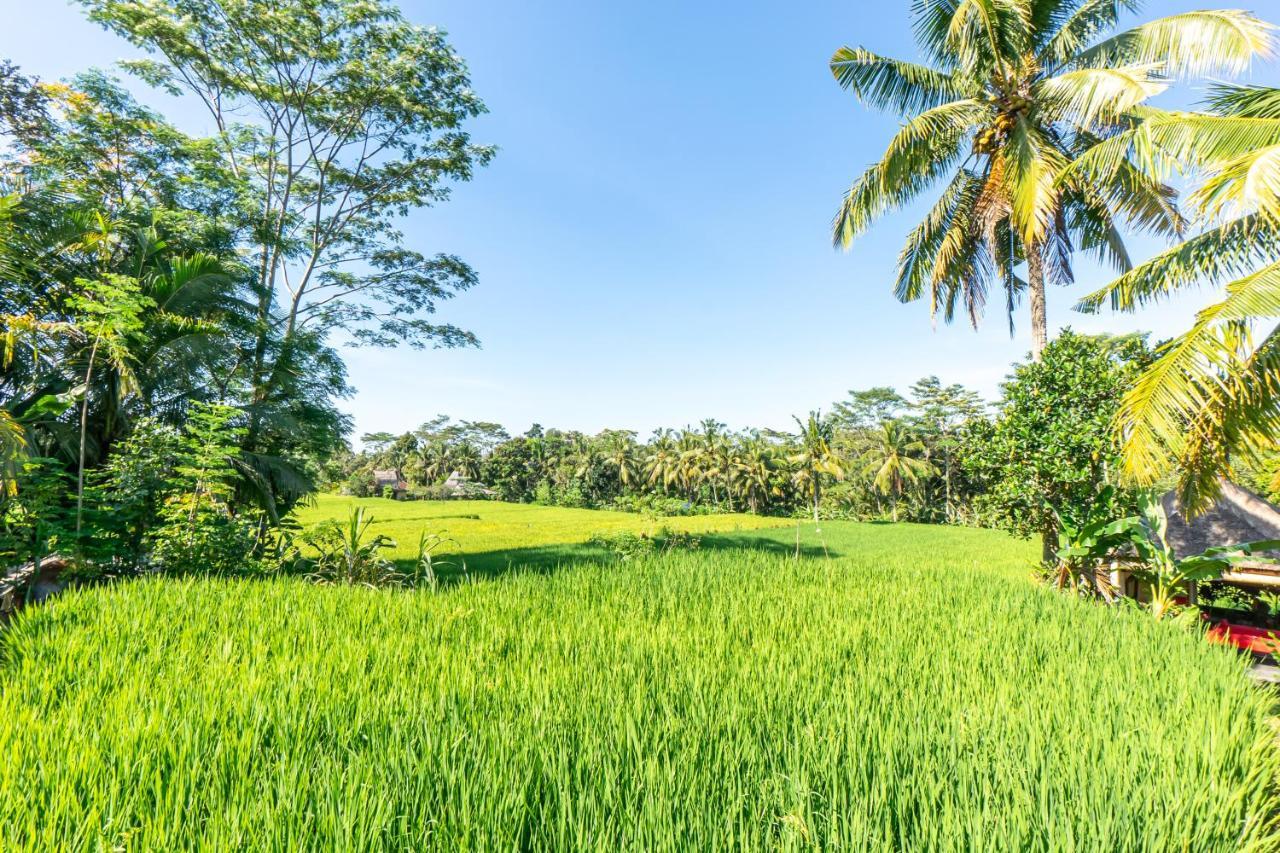 Rouge - Private Villa Passion Ubud  Ngoại thất bức ảnh